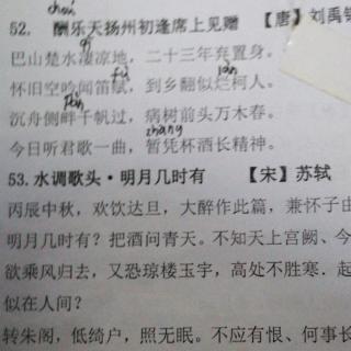 《酬乐天扬州初逢席上见赠》