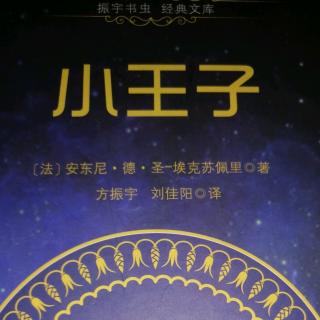 《小王子》第十六章