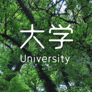 大学，自由，如何挣钱