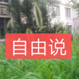 自由说——被偷和被骗1