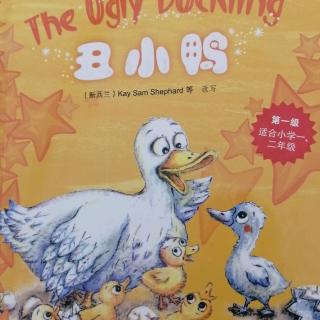 The ugly duckling（下）