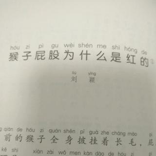 猴子的屁股为什么是红的