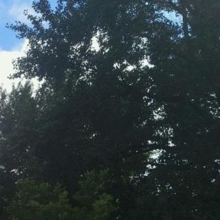 08-14英语音频(晨读)