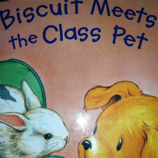 Biscuit Meet The Class Pet