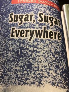 Sugar Sugar，Everywhere