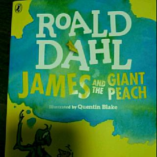 James And The Giant Peach Twelve