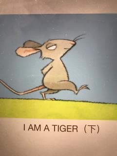 i am a tiger