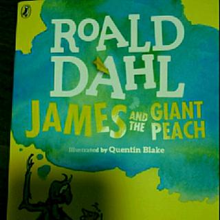 James And The Giant Peach Fourteen