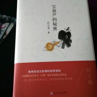 宝葫芦的秘密第20章