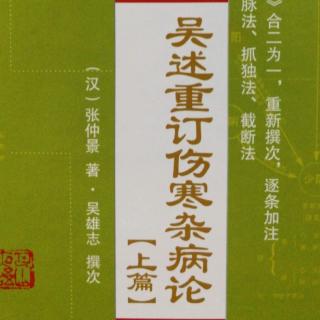 62.《吴述重订伤寒杂病论（上篇）》（44）