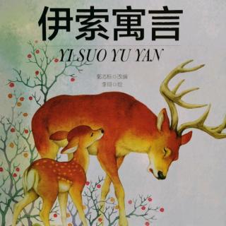 伊索寓言—狐狸🦊和鹤