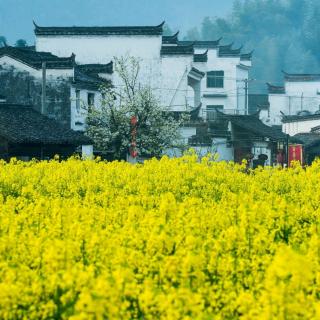 小儿流口水地图舌案例解析