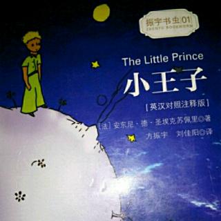 《小王子》英文版   第十一章