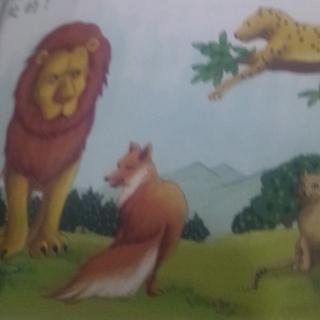 狮子和豹子