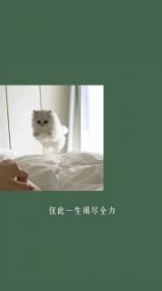 🐱希望我们熬过这段日子都能变好