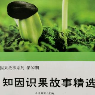 《知因识果故事精选》故事141：不速之客