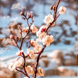 每日学经典《九章》节选