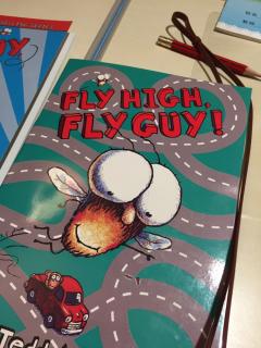 20190816 Fly high, fly guy
