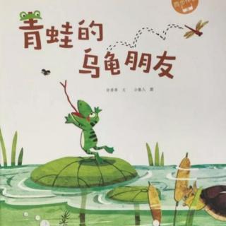 幼儿睡前故事《小青蛙的乌龟朋友》