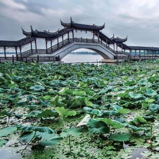 小儿支气管肺炎调理思路及配穴