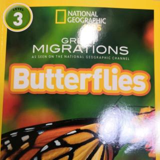 Aug.17-Bruce7-Butterflies-Day2