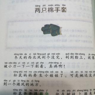 中国儿童文学名家名作：《两只棉手套》