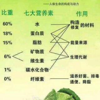 胃病的治愈方法