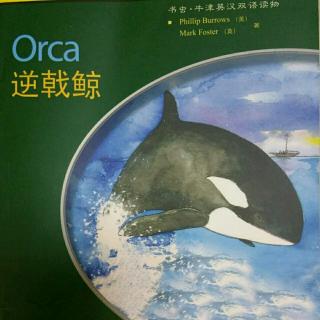 Orca1