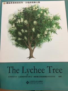 20190817 The Lychee Tree