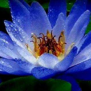 20190818我是如何戒掉网瘾的