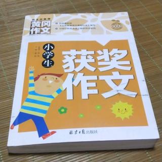 小学生作文20190818。