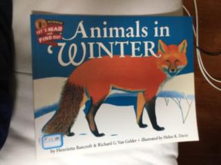 Animals in winter
