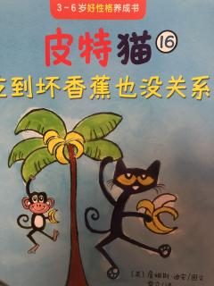 皮特猫🐈16——吃到坏香蕉🍌也没关系