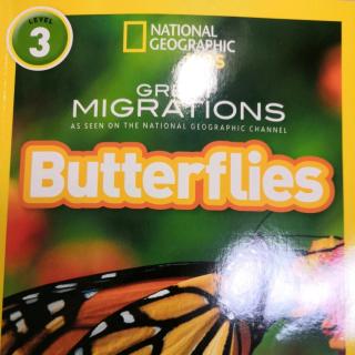 Aug.19-Bruce7-Butterflies-Day4
