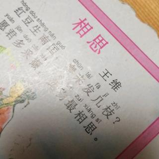 相思 王维