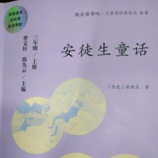 《安徒生童话》4 ll 《野天鹅》主讲冰莹水晶