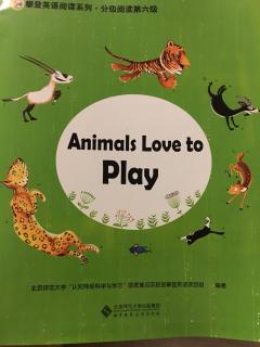 20190818 Animals Love to play