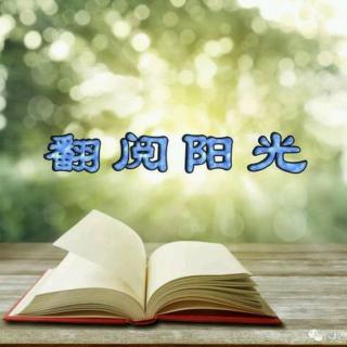 【8.19】《翻阅阳光》