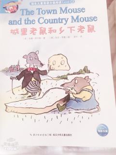 妞妞主播－英语绘本9《The Town Mouse and Country Mouse》