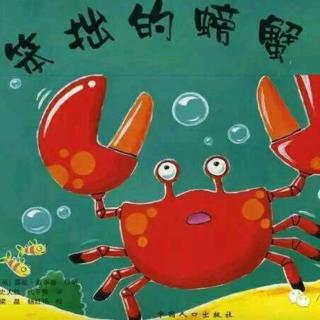 《笨拙的螃蟹🦀》