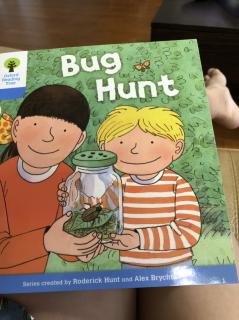 Bug hunt