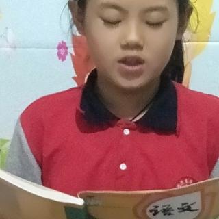 大青树下的小学