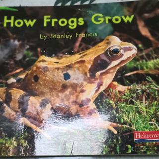 How Frogs Grow
