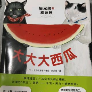 《大大大西瓜🍉》