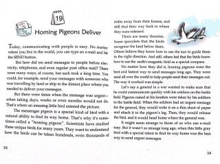 Homing Pigeons Deliver-20190819