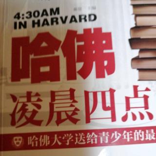 哈佛凌晨四点半。