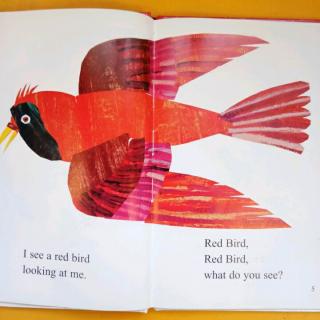 Red Bird, Red Bird, what do you see?