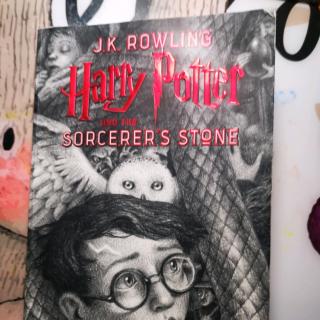 Harry Potter and the sorcerer's stone47~48