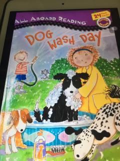 英语打卡：Dog wash day