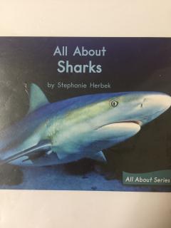 Aug-20-All About Sharks